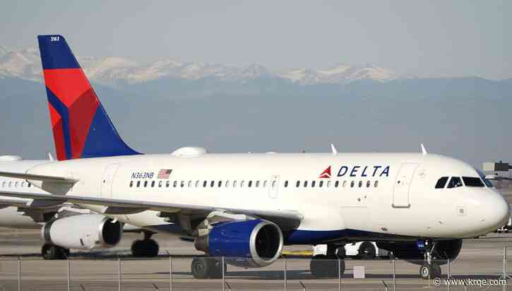 Another unticketed passenger attempts to stow away on a Delta flight