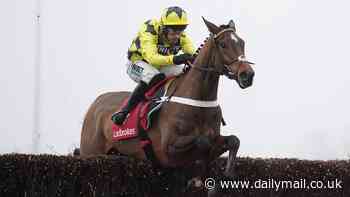 Sparkling Sir Gino takes breath away with a stunning debut at the Wayward Lad Novices Chase