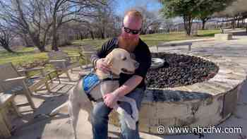 North Texan veteran and service canine ‘Priscilla' to appear in Rose Parade