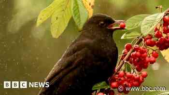 Your pictures of Scotland: 20-27 December