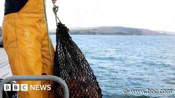 Fishermen warn industry at risk of being 'crushed'