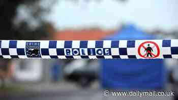 Woman allegedly stabs man to death at home near Ballarat, Victoria