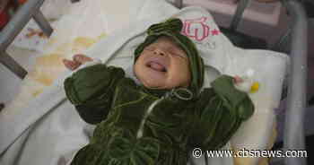 Babies dying of hypothermia in Gaza hospitals