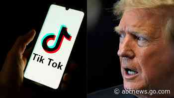 Trump asks Supreme Court to delay TikTok sale deadline