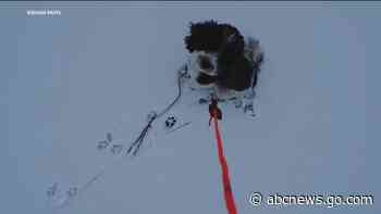 WATCH:  Drone owner helps save dog from frozen lake