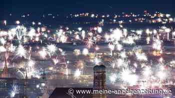 Laute und helle Silvesternacht stört Wildtiere