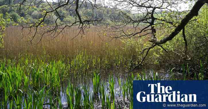 English wildlife ‘could be disappearing in the dark’ due to lack of scrutiny