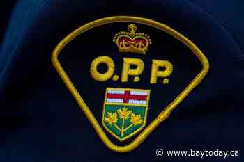 Two people seriously injured after horse-drawn crash in Oxford County: OPP