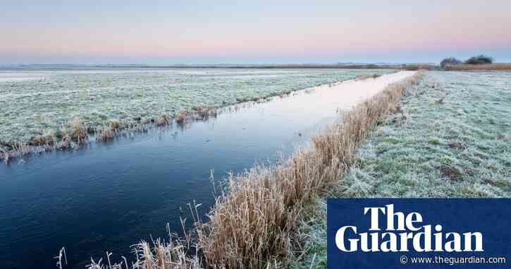 Canadian researchers trial nature trick to boost mood in winter