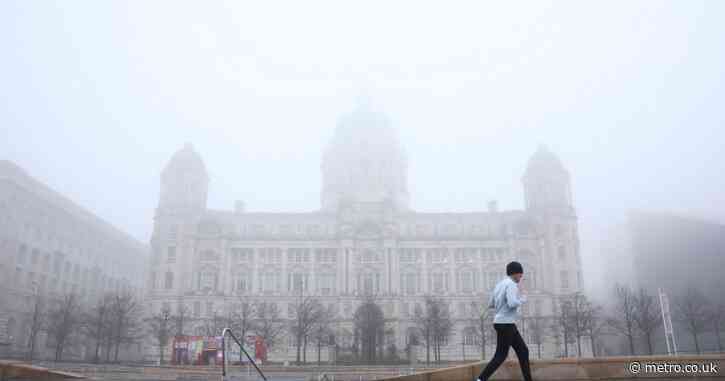 Met Office gives verdict on fog this weekend after hundreds of flights delayed