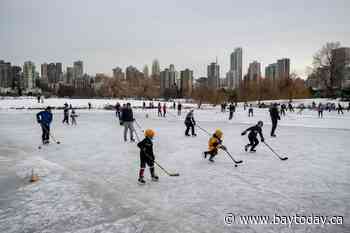 New Canadians, non-traditional demographics boost minor hockey uptake in B.C.