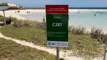 Beachgoers left baffled by hundreds of mysterious signs that have appeared along Australia's coastline