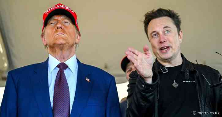 What is H-1B as MAGA ‘civil war’ breaks out with Elon Musk and the far-right