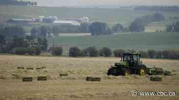 Alberta drought conditions expected to improve heading into 2025