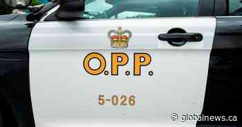 2 people seriously injured after horse-drawn carriage crashes in Oxford County: OPP