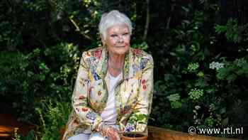 Judi Dench plant appelboom voor overleden Maggie Smith