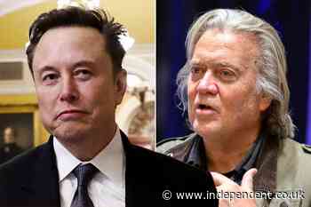 Steve Bannon mocks ‘toddler’ Elon Musk after he tells X user to ‘f*** yourself’ over visa bust-up