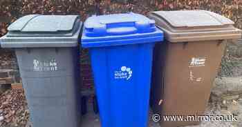 Every home in England may be given choice of four different bins in 2025