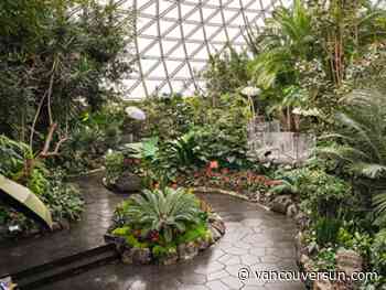 Vancouver's Bloedel Conservatory reopens after accessibility upgrades