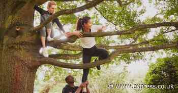 Councils set to hit Brits with fines for climbing trees in parks