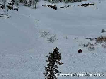 Man rescues brother from avalanche after finding his fingers sticking out of snow