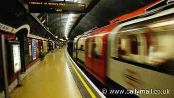 Woman knocked unconscious on the Tube after being smashed over the head with a glass bottle: Police probing attack