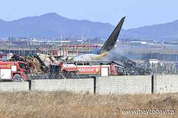 Plane burst into flames after skidding off runway at an airport in South Korea, killing at least 28