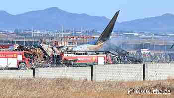 Dozens killed in South Korea after plane veers off runway, bursts into flames