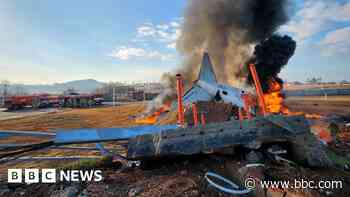 At least 47 killed in plane crash at South Korea airport