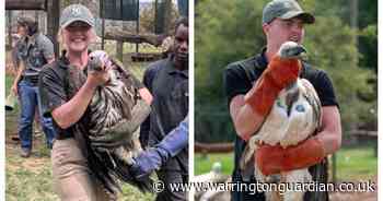 Meet the family saving 'critically endangered' vultures on crusading trips to Africa