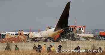 More than 100 dead as plane skids off runway and bursts into flames in South Korea