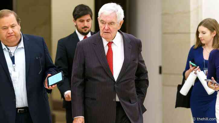 Gingrich backs Johnson over ‘destructive’ House Republicans after funding debacle