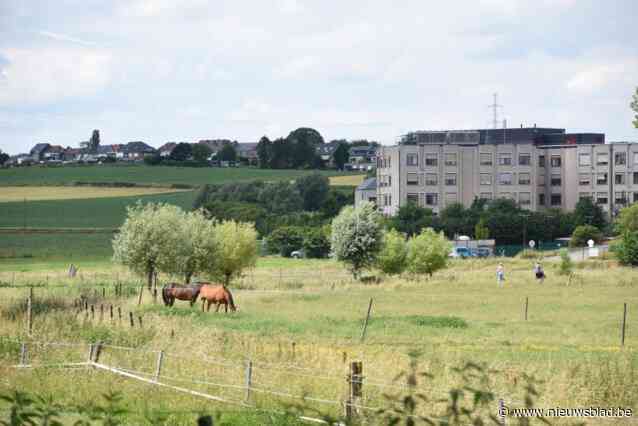 12 hectare extra groen en bos op zes locaties in Vlaamse Rand: “Door de verstedelijking vanuit Brussel wordt de nood aan toegankelijk groen steeds groter”