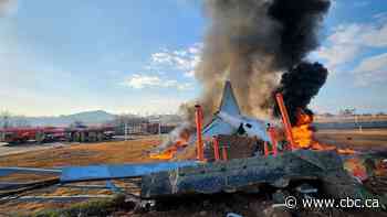 Plane crashes and burns while landing in South Korea, killing 179