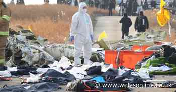 Cause of plane crash in South Korea 'early assessment' after 'warning issued'