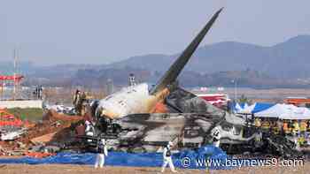 A plane crashes and bursts into flames while landing in South Korea, killing 179