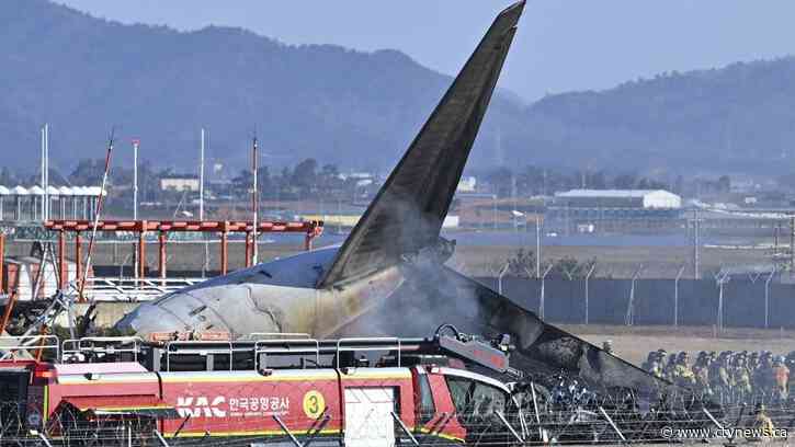 A plane crashes and bursts into flames while landing in South Korea, killing 179