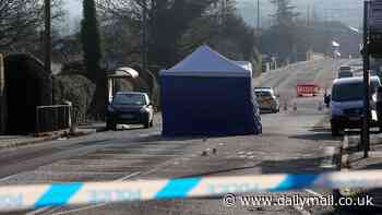 Schoolgirl,15, among seven arrested in connection with alleged murder of teenager, 18, stabbed to death on residential street