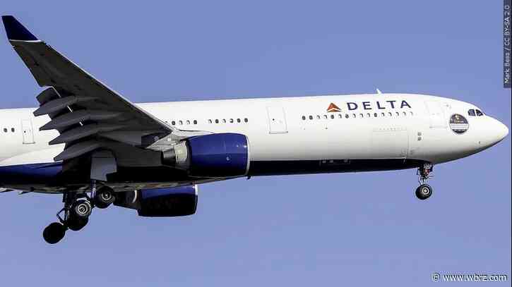 Another unticketed passenger attempts to stow away on a Delta flight this holiday season