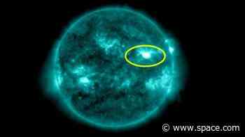 Sun unleashes massive X1.1 solar flare to close out 2024 (photo)