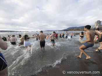 Plunge into 2025: Polar bear swims around Metro Vancouver