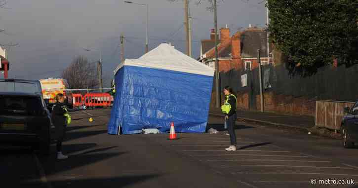 Seven arrested after teen stabbed to death in middle of street