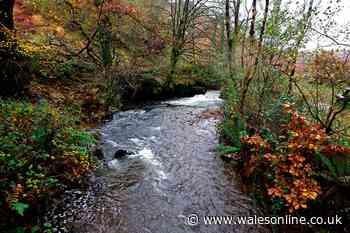 Gorgeous hidden gem with two reservoirs, peaceful woods and a cosy café