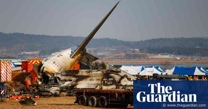 Cause of South Korea plane crash unclear as officials focus on bird strikes