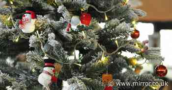 Exact date to take down Christmas tree to avoid bad luck - and when to do it if it's a real one