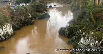 Crystal clear river near famous attraction turns to 'yellow and brown' in hours