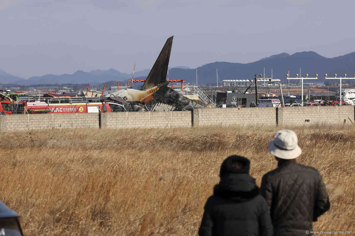 Jetliner crashes while landing in South Korea, killing 179