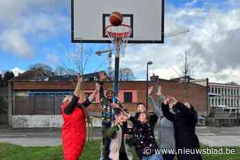 Basketbalring en extra verlichting op Gemeenveldsite