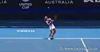 United Cup tennis star hits woeful serve at vital moment and crowd don't know how to react