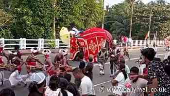 Horrifying moment elephant flips and brutally tramples its handler during traditional Sri Lankan festival before going on rampage